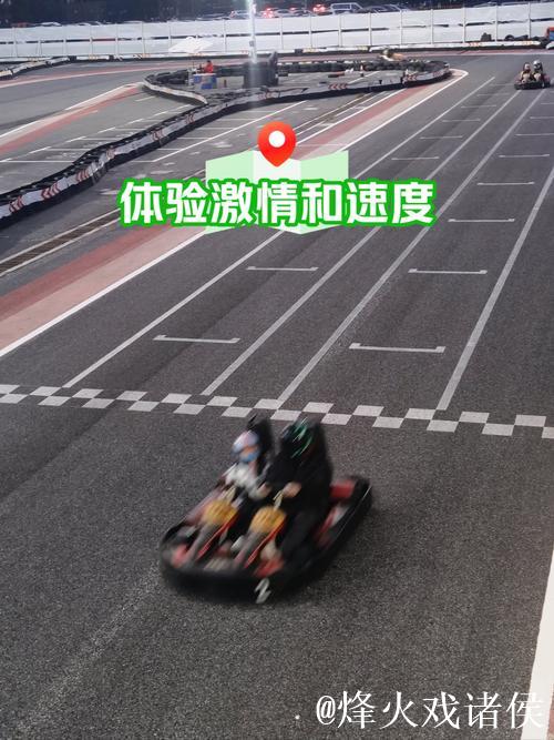 视频揭示拉力赛车手高超驾驶技巧