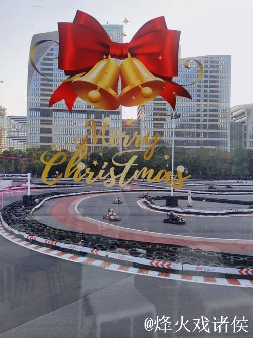 视频揭示拉力赛车手高超驾驶技巧